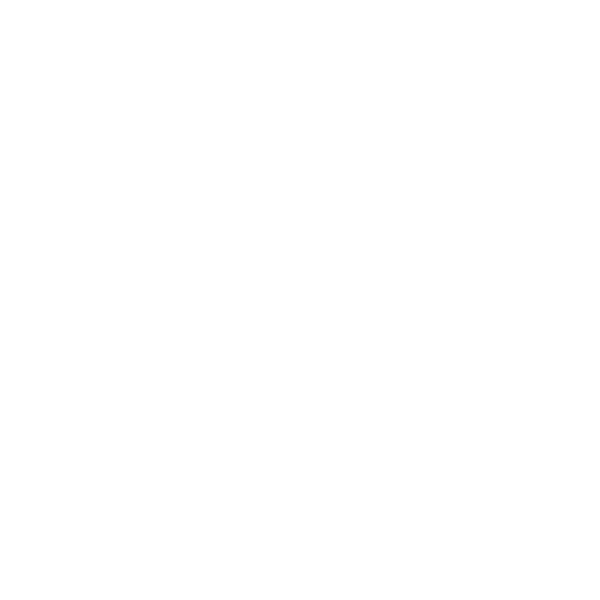 Western Australia Licensed Repairer seal icon in white on transparent background